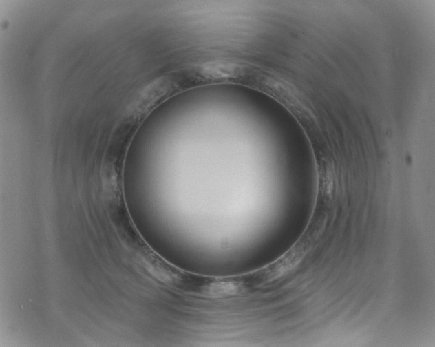 X0000073730418200608031334