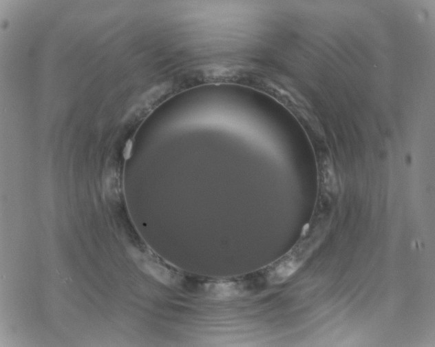 X0000073730419200608031334