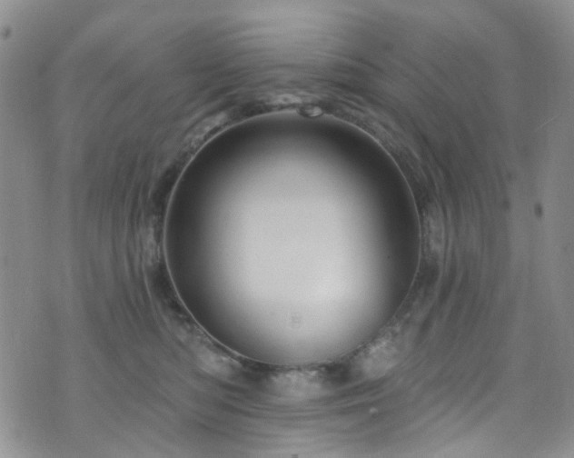 X0000073730422200608031334