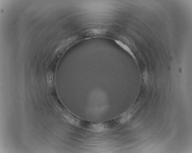 X0000073730423200608031334