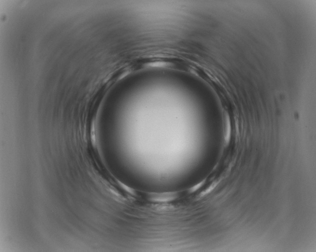 X0000073730424200608031334