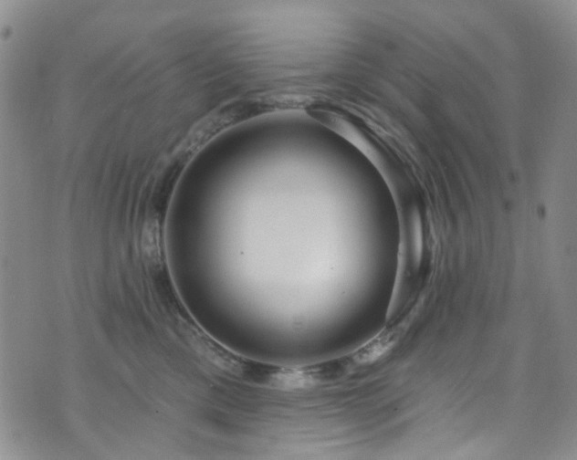 X0000073730425200608031334