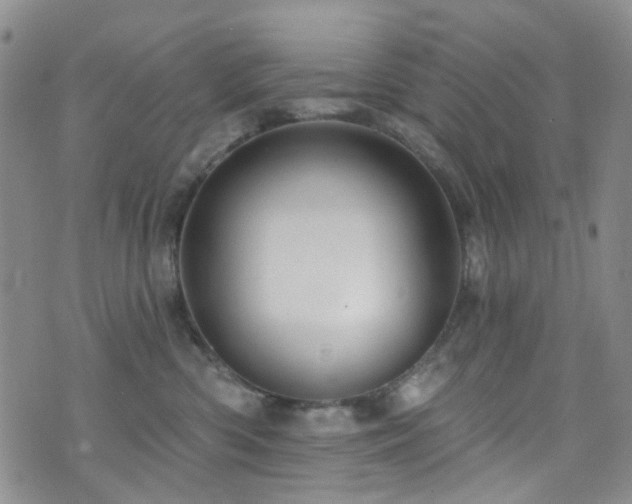 X0000073730426200608031334