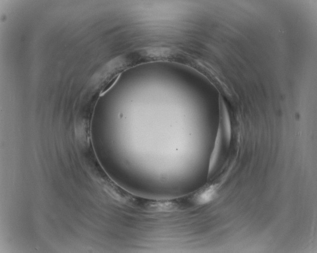 X0000073730428200608031334