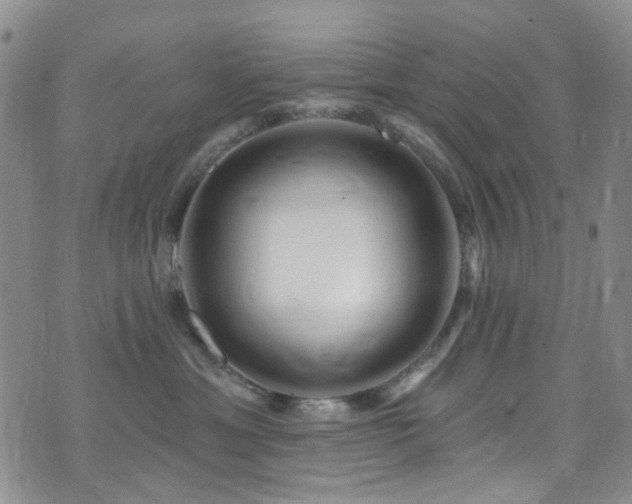 X0000073730429200608031334