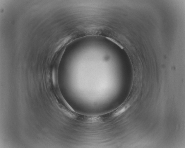 X0000073730432200608031334