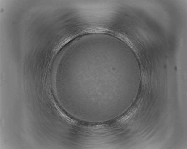 X0000073730433200608031333