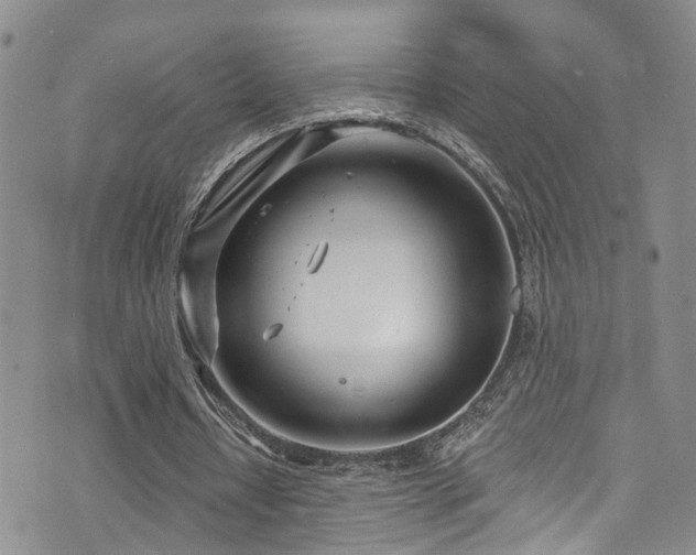 X0000073730434200608031333