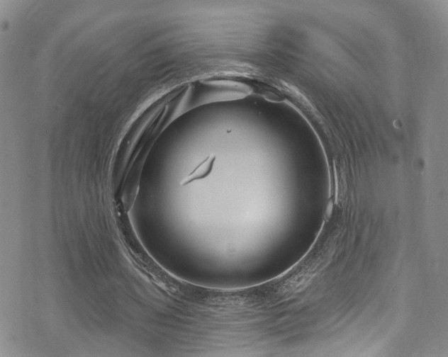 X0000073730435200608031333