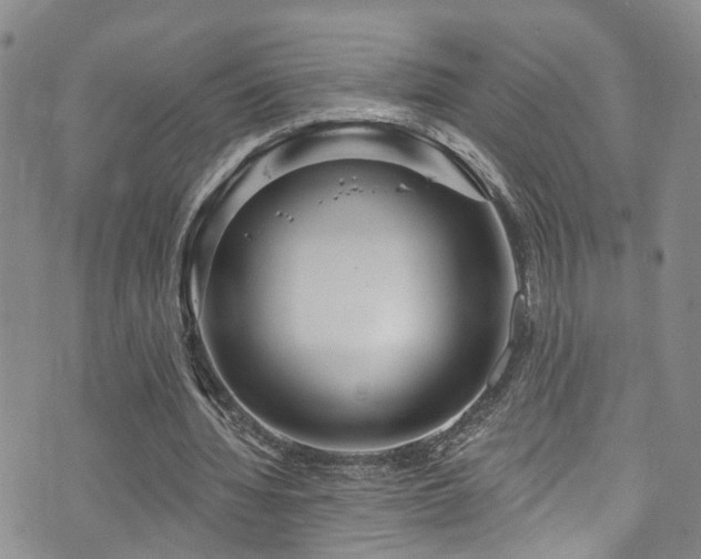 X0000073730436200608031333