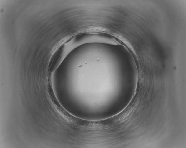 X0000073730437200608031333