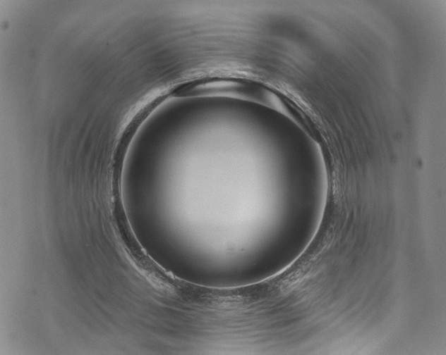 X0000073730438200608031333