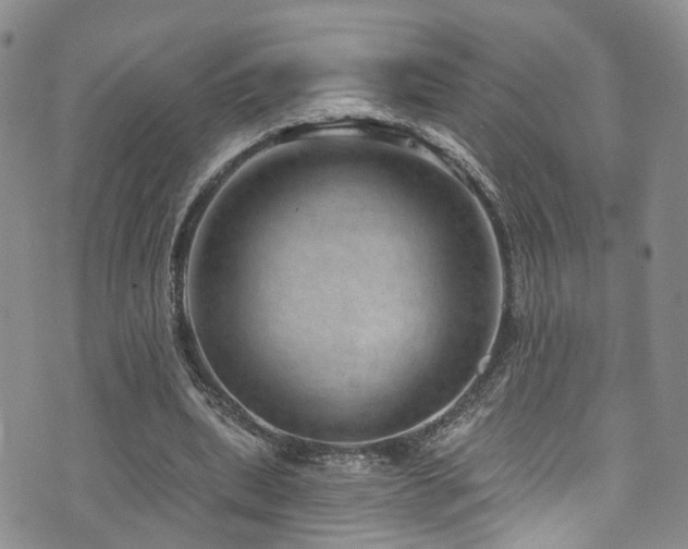 X0000073730439200608031333