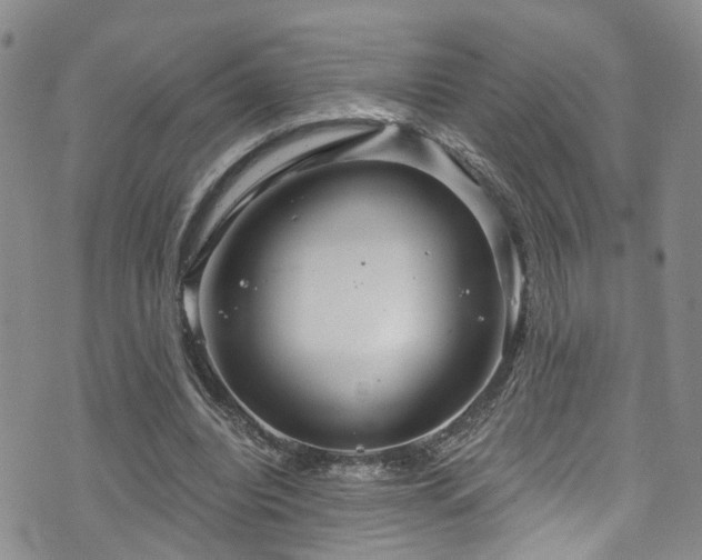 X0000073730440200608031333