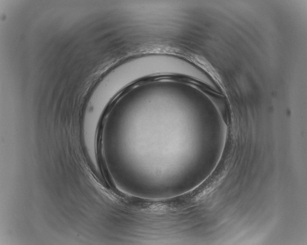 X0000073730441200608031333