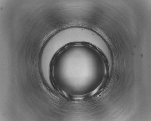 X0000073730442200608031333