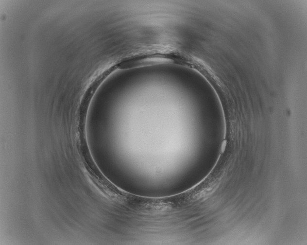 X0000073730443200608031333