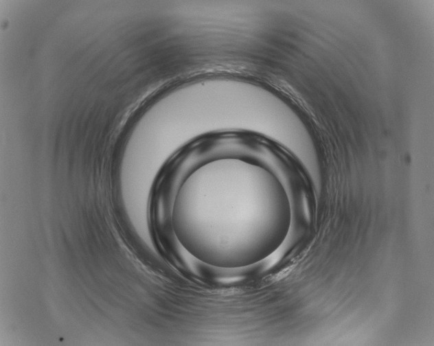 X0000073730444200608031334