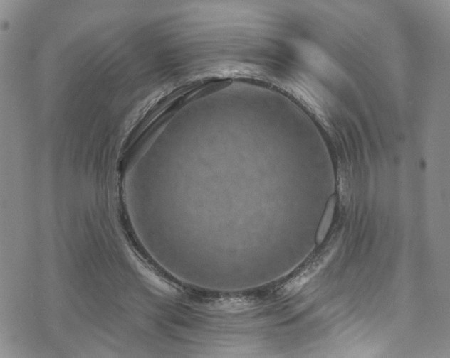 X0000073730445200608031334