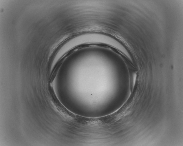 X0000073730446200608031334