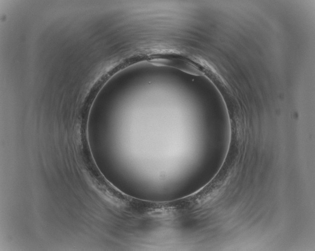 X0000073730447200608031334