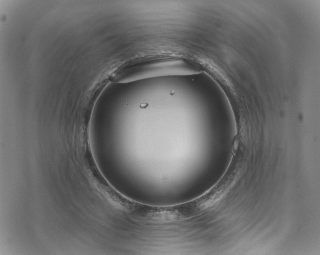 X0000073730449200608031334