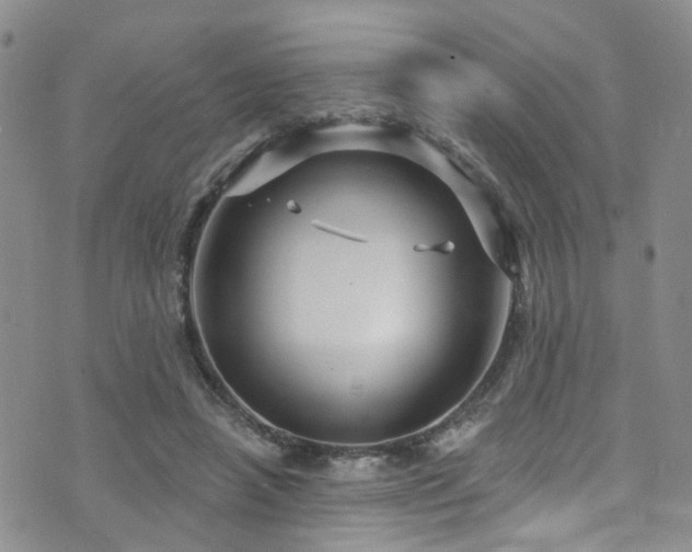 X0000073730450200608031334