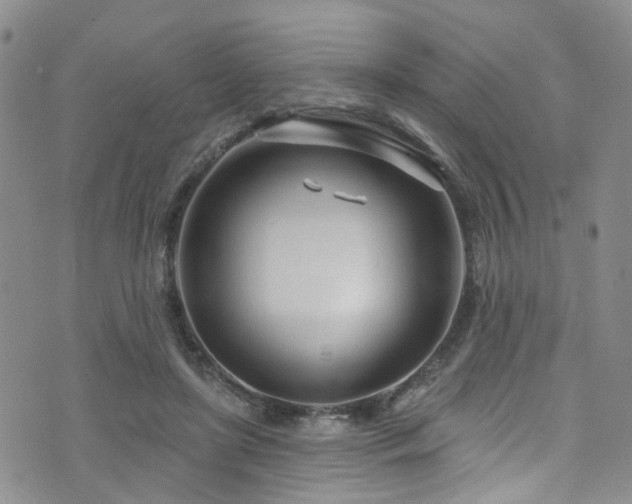 X0000073730451200608031334