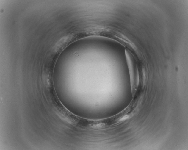 X0000073730452200608031334