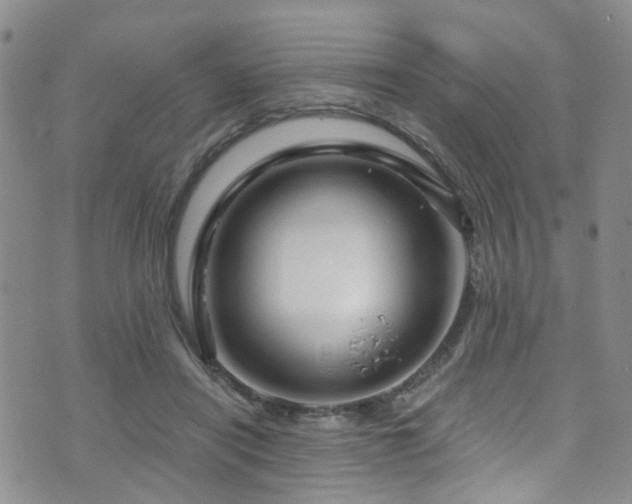 X0000073730454200608031334