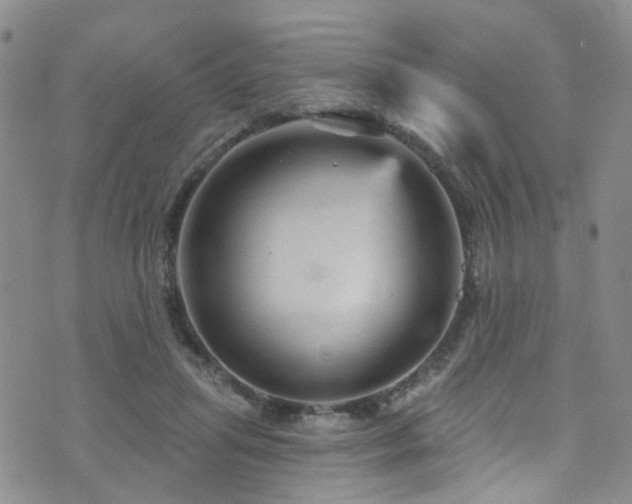 X0000073730455200608031334