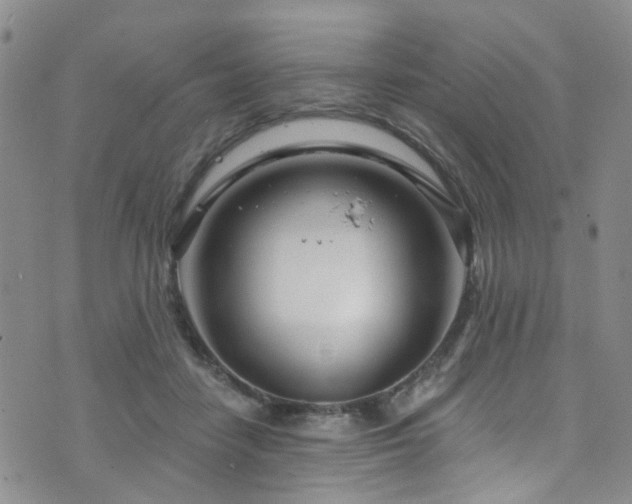 X0000073730458200608031334