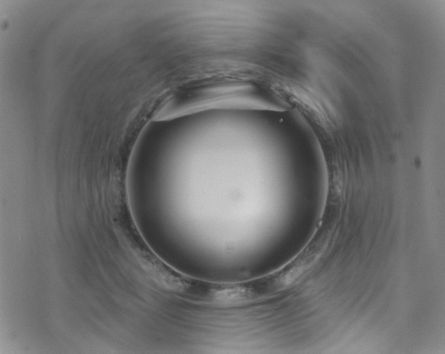 X0000073730461200608031334