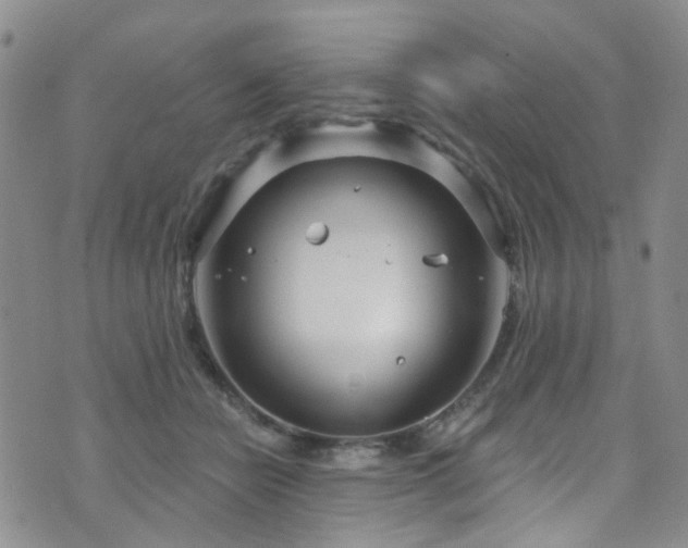 X0000073730462200608031334