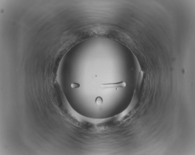 X0000073730464200608031334