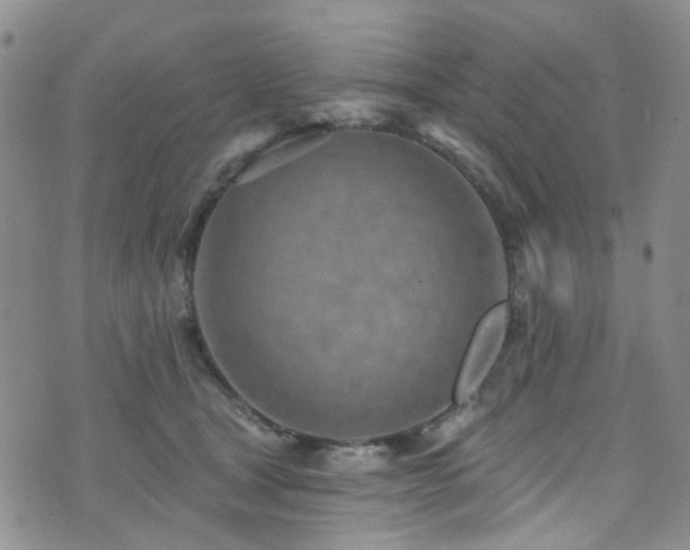 X0000073730465200608031334