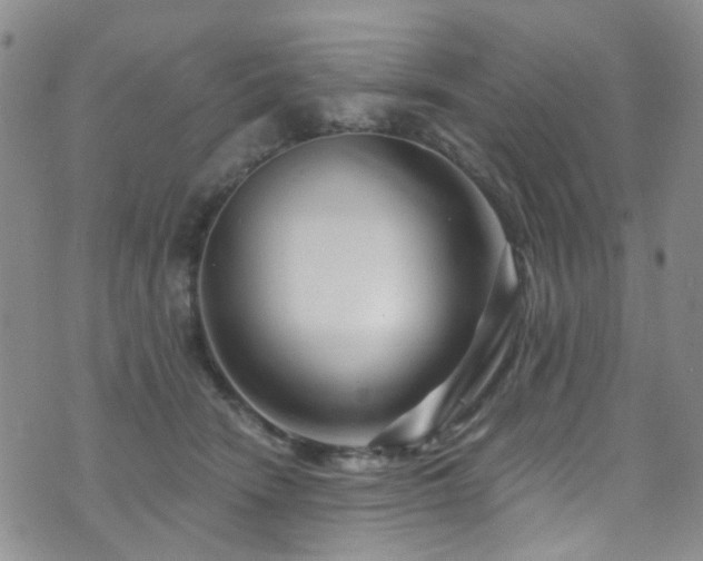 X0000073730466200608031334