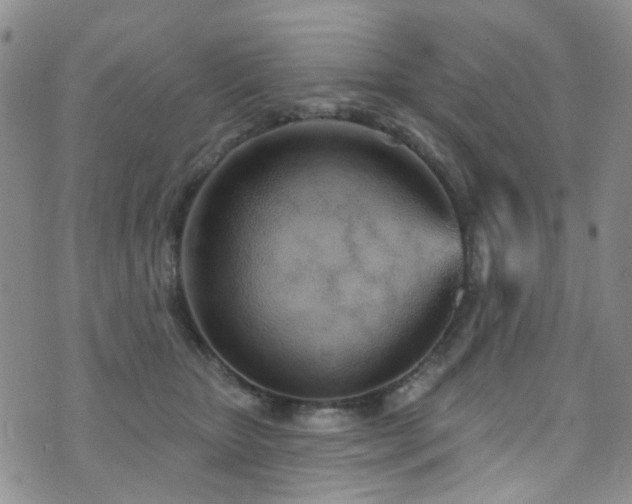 X0000073730467200608031334