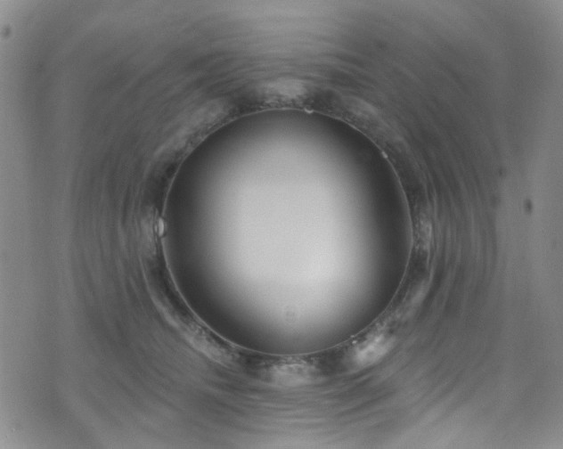 X0000073730468200608031334