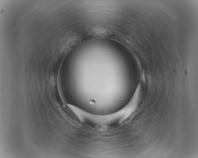 X0000073730472200608031334