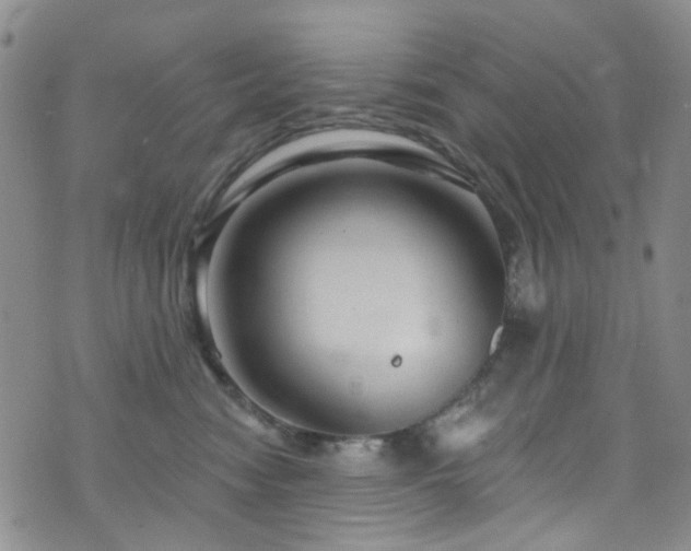 X0000073730474200608031334