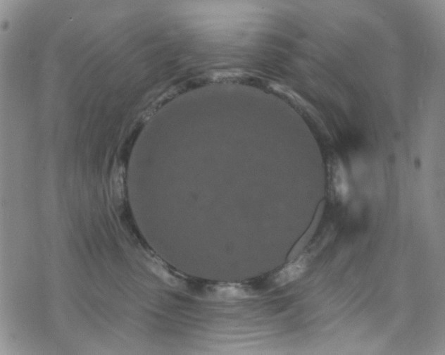 X0000073730475200608031334