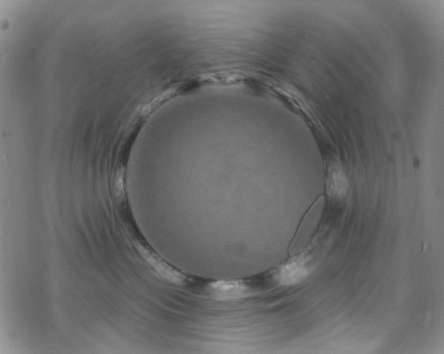 X0000073730477200608031334