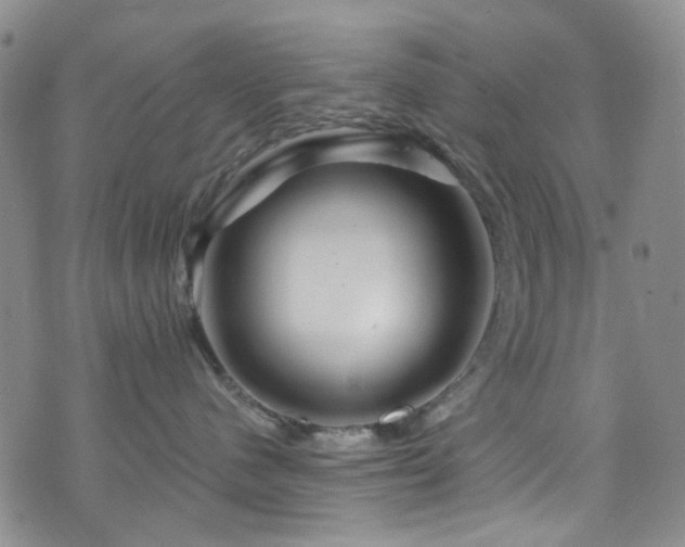 X0000073730480200608031334