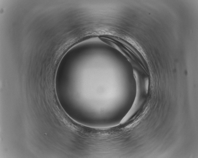 X0000073730481200608031333