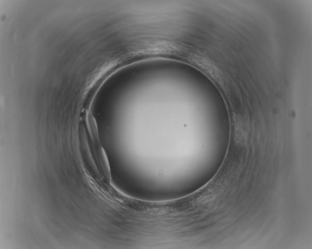 X0000073730482200608031333