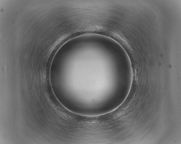 X0000073730483200608031333