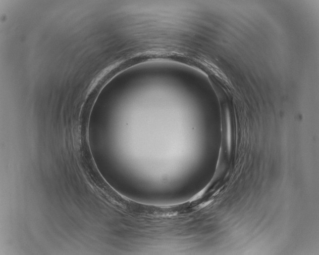 X0000073730484200608031333