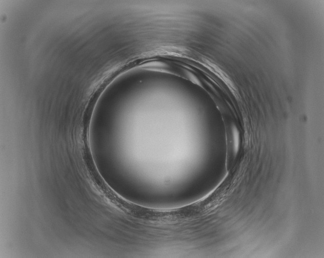 X0000073730485200608031333