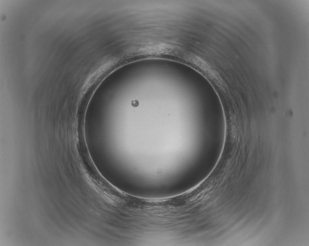 X0000073730486200608031333